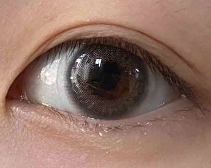 MOLAK 1day/MOLAK/ワンデー(1DAY)カラコンを使ったクチコミ(1枚目)