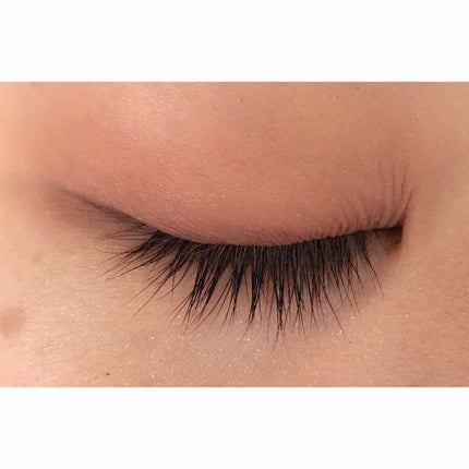 パーフェクトマルチアイズ/キャンメイク/アイシャドウパレットを使ったクチコミ(4枚目)