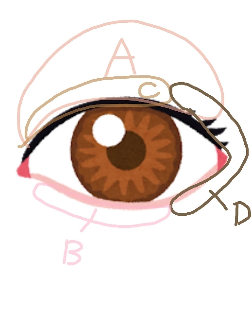 スキニーリッチシャドウ/excel/アイシャドウパレットを使ったクチコミ(4枚目)