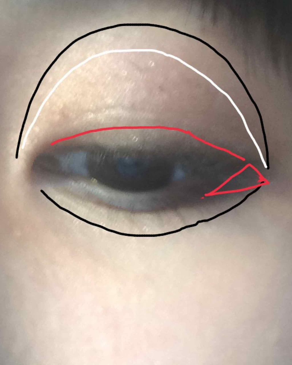 トーンアップアイシャドウ/CEZANNE/アイシャドウパレットを使ったクチコミ(1枚目)