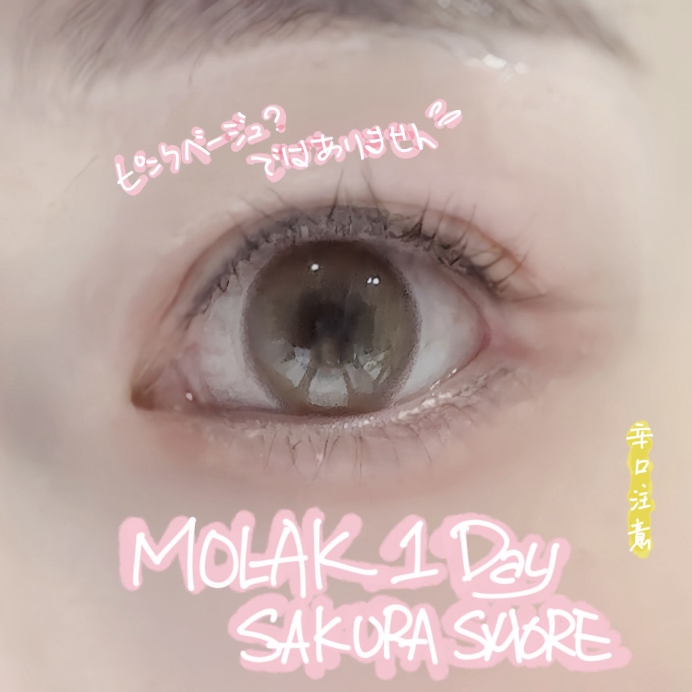 MOLAK 1day/MOLAK/ワンデー（１DAY）カラコンを使ったクチコミ（1枚目）