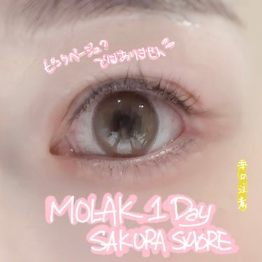 MOLAK 1day サクラスモア/MOLAK/ワンデー（１DAY）カラコンの画像