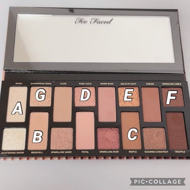 ボーン ディス ウェイ ザ ナチュラル ヌード アイシャドウ パレット/Too Faced/アイシャドウパレットを使ったクチコミ（2枚目）