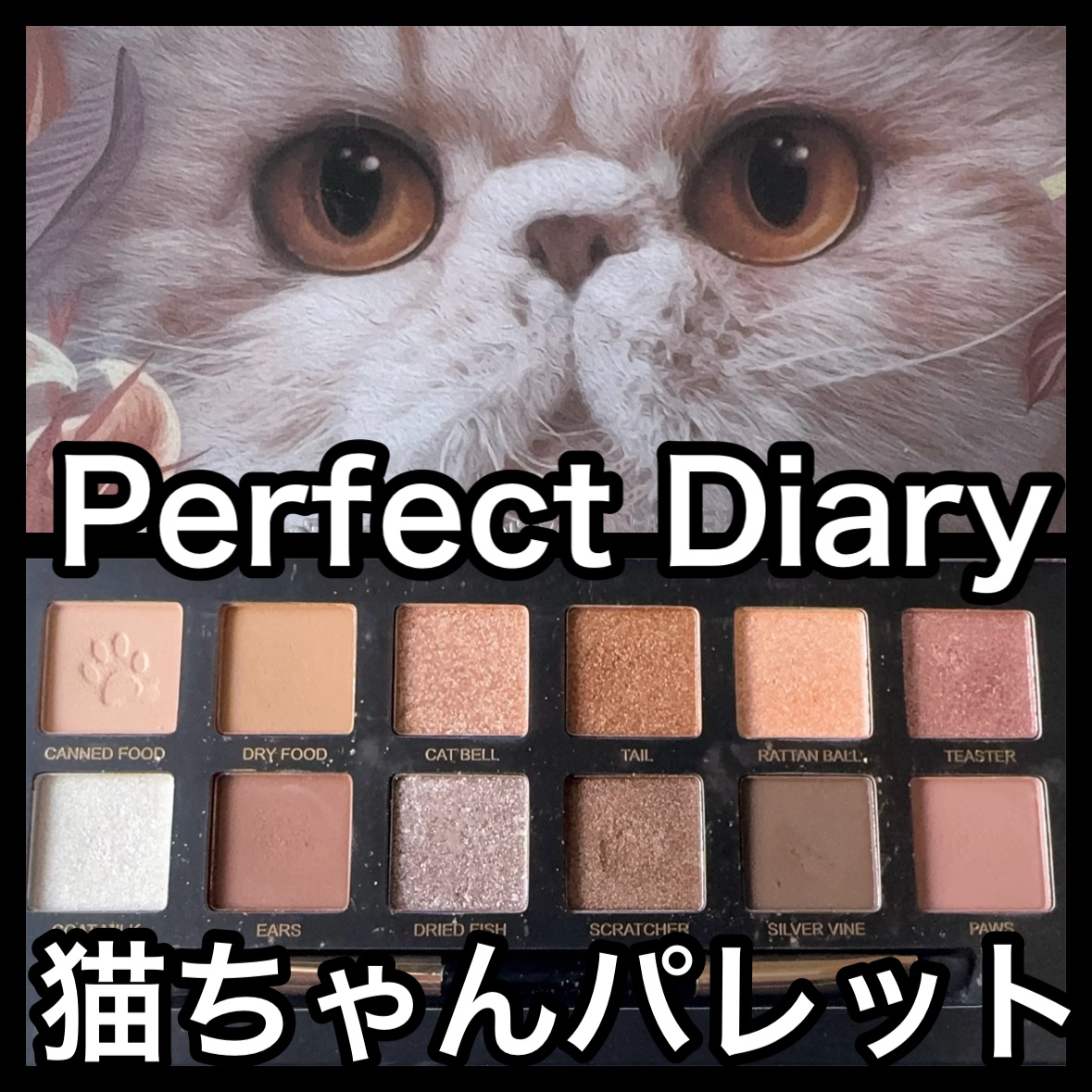 エクスプローラ12色 動物アイシャドウパレット/PERFECT DIARY/アイシャドウパレットを使ったクチコミ（1枚目）