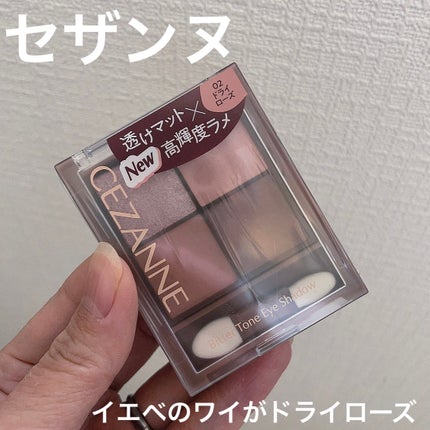 ビタートーンアイシャドウ/CEZANNE/パウダーアイシャドウを使ったクチコミ(1枚目)