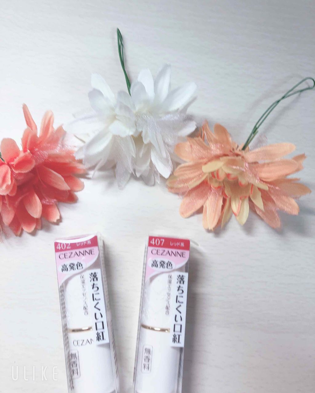 ラスティング リップカラーN/CEZANNE/口紅を使ったクチコミ(1枚目)