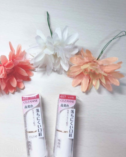 ラスティング リップカラーN/CEZANNE/口紅を使ったクチコミ(1枚目)