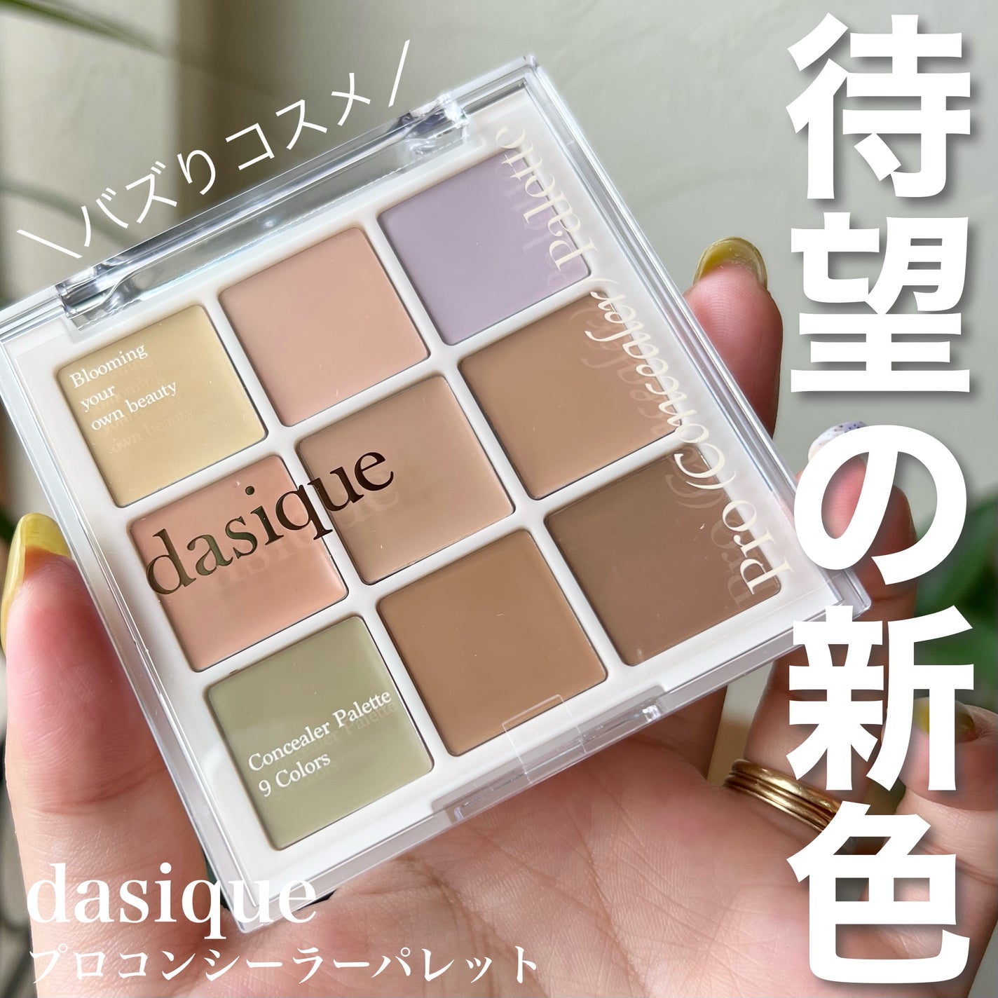プロコンシーラーパレット/dasique/パレットコンシーラーを使ったクチコミ(1枚目)