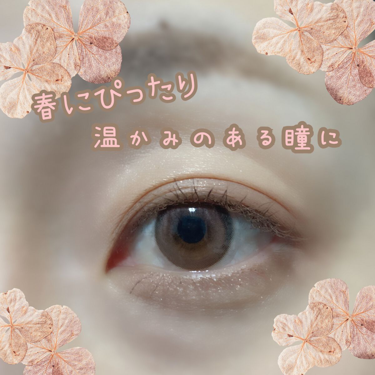 chuuLENS Milk&Tea 1day/chuu LENS/ワンデー(1DAY)カラコンを使ったクチコミ(4枚目)