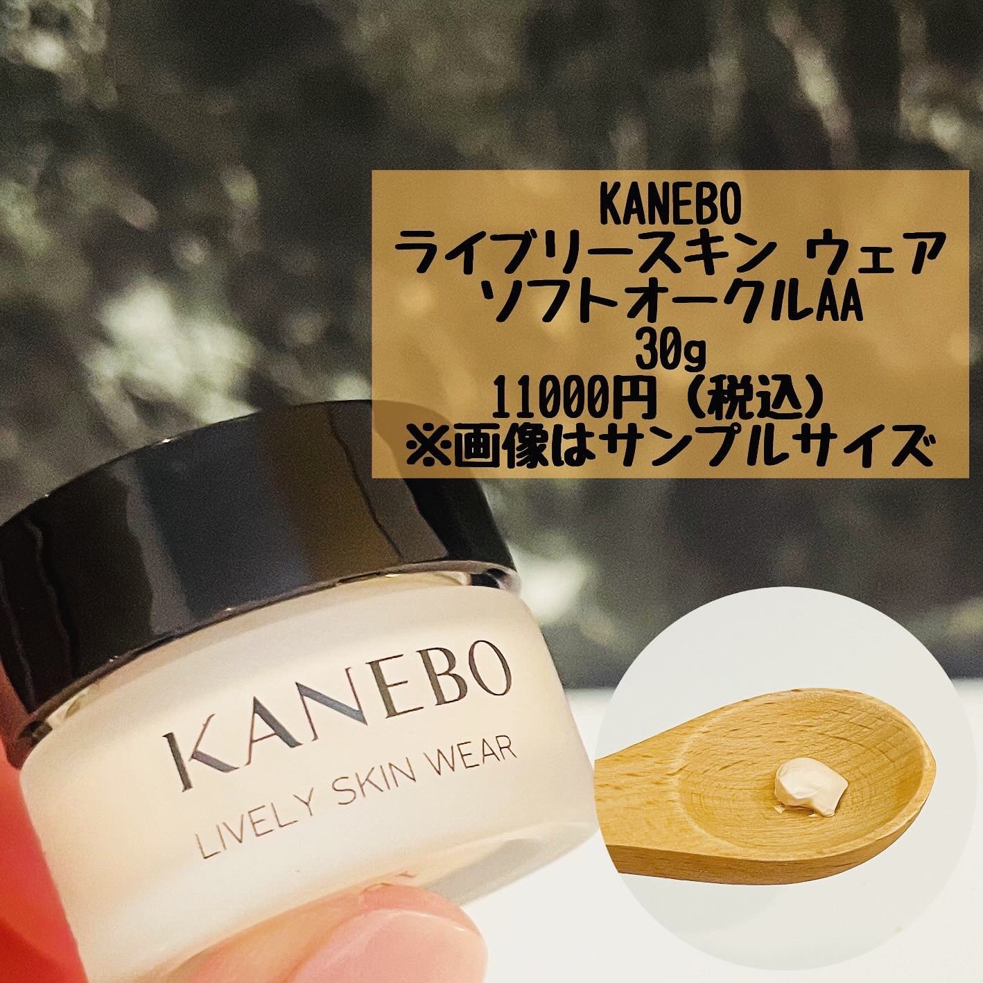 ライブリースキン　ウェア/KANEBO/クリーム・エマルジョンファンデーションを使ったクチコミ（2枚目）