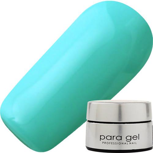 パラジェル DP04 スプリングブルー