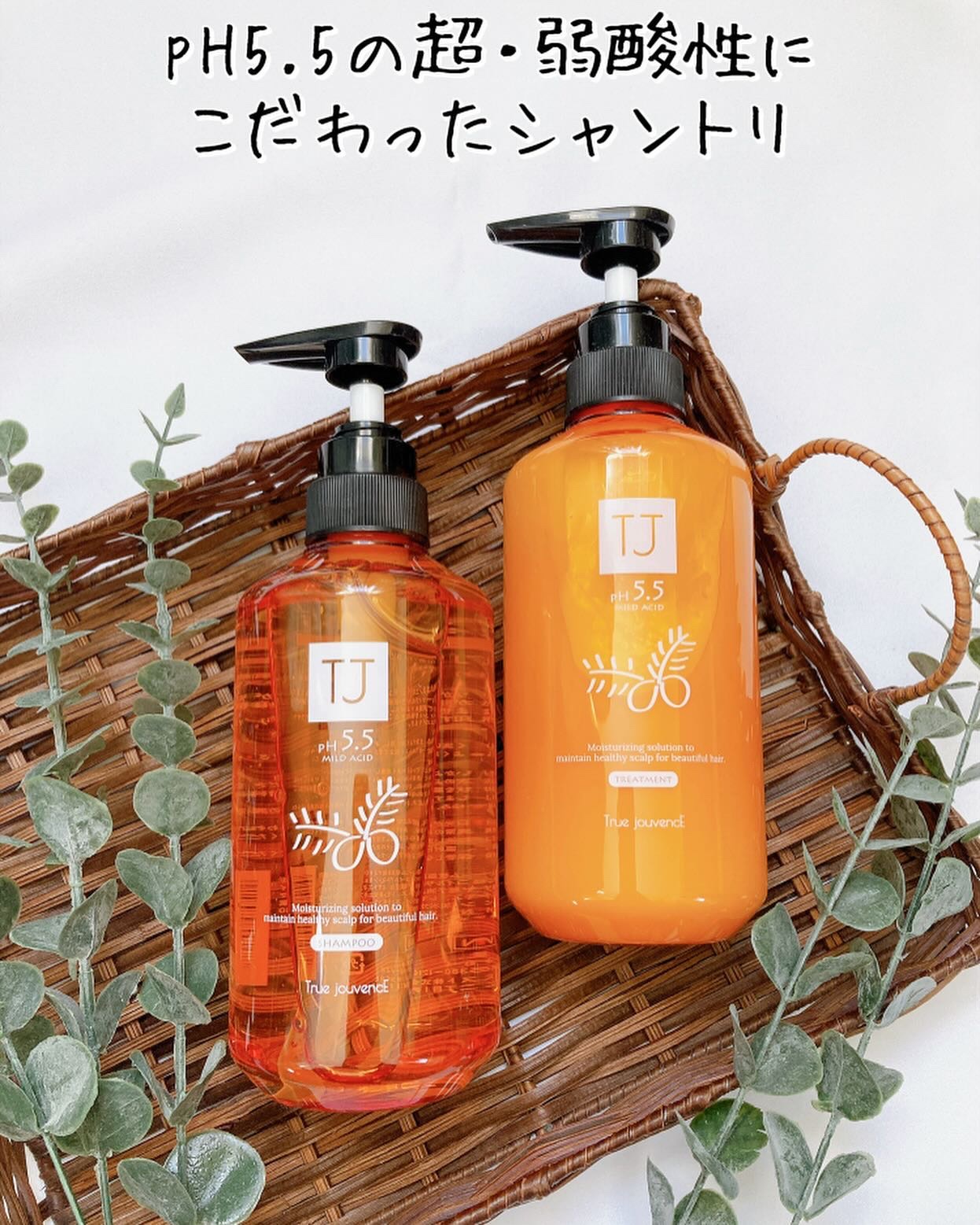 TJ pH5.5 シャンプー＆トリートメント/True jouvencE/市販シャンプーを使ったクチコミ（1枚目）