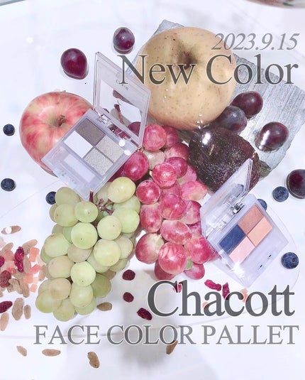 マルチカラーバリエーション スパークル SP01/チャコット・コスメティクス/単色アイシャドウを使ったクチコミ(1枚目)