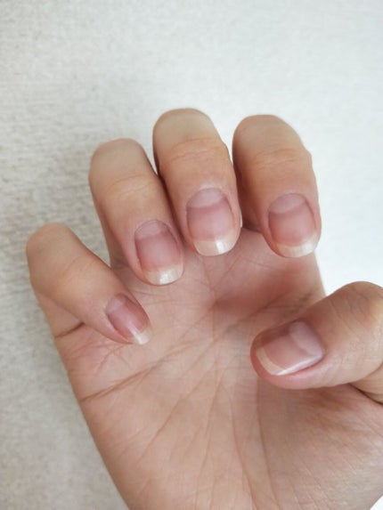 ベタガード/フローラル 4 シーズンズ/ハンドクリームを使ったクチコミ(2枚目)