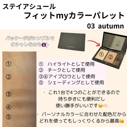 フィット my カラーパレット 03 autumn/STEIASUR(ステイアシュール)/マルチパレットを使ったクチコミ(2枚目)
