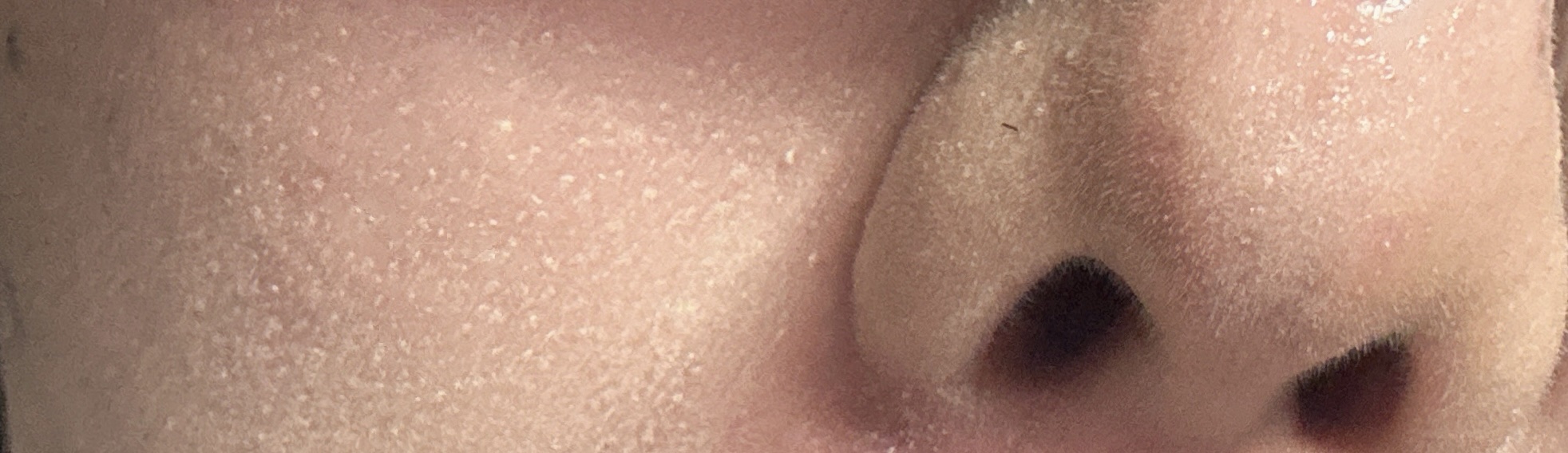 毛穴レスコンシーラー/CEZANNE/クリームコンシーラーを使ったクチコミ（1枚目）