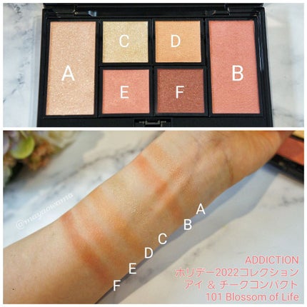アイ & チーク コンパクトアディクション “ストーリー オブ ライフ”/ADDICTION/アイシャドウパレットを使ったクチコミ(3枚目)