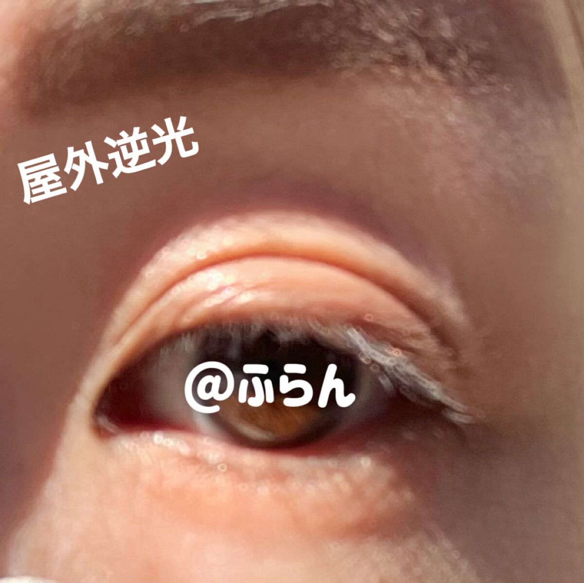 ふらんきんせんす(ふらん)再登録 on LIPS 「#和粧将棋アイシャドウクリーム#師01ドンキで見つけた、漢字が..」(4枚目)