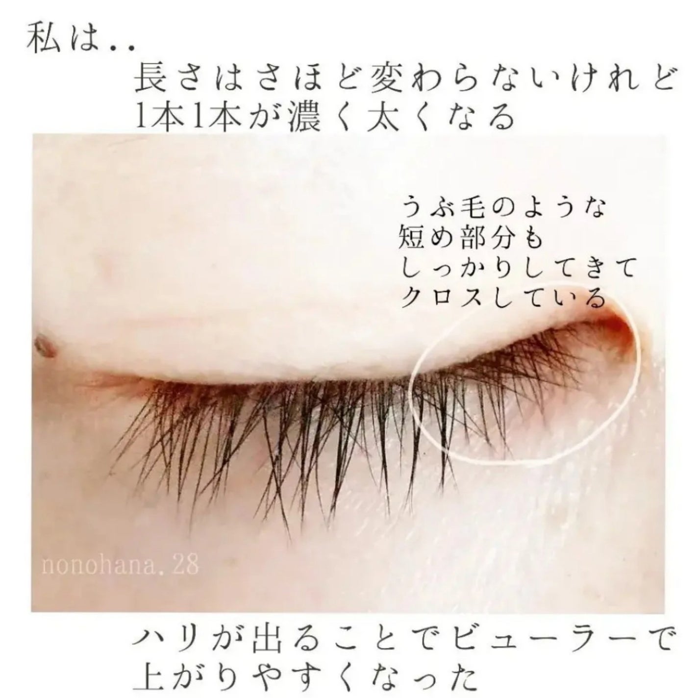 ラッシュジェリードロップ EX/MAJOLICA MAJORCA/まつげ美容液を使ったクチコミ(4枚目)