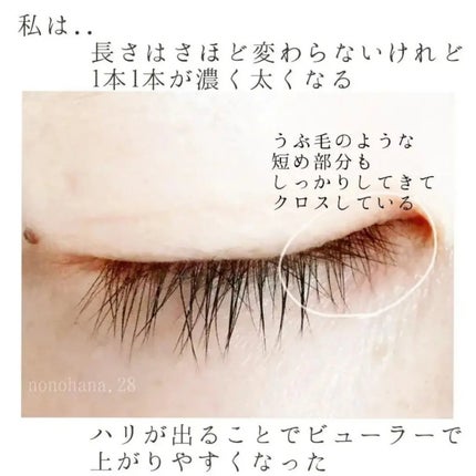 ラッシュジェリードロップ EX/MAJOLICA MAJORCA/まつげ美容液を使ったクチコミ(4枚目)