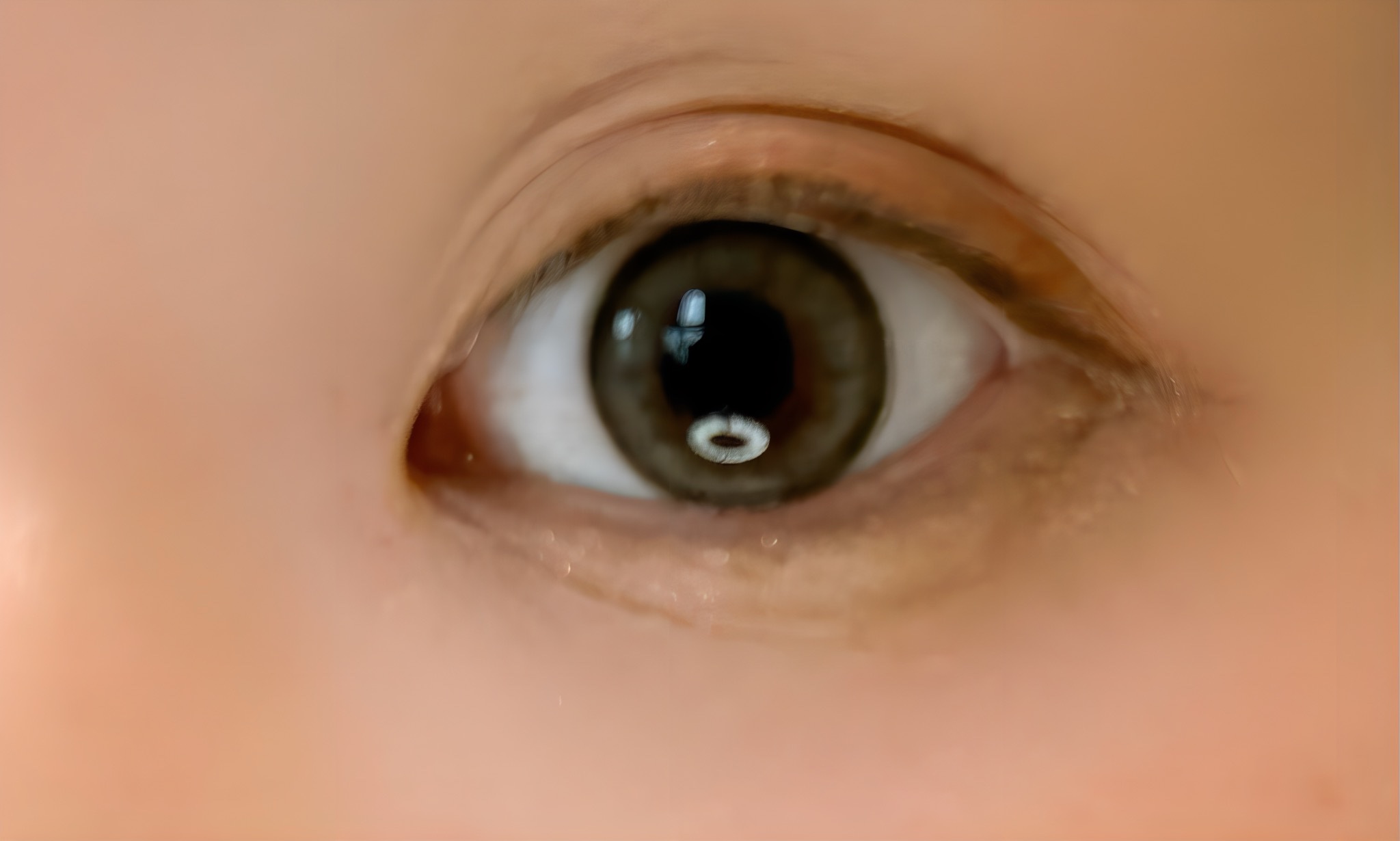 ViVi Ring 1day グレー/OLENS/ワンデー（１DAY）カラコンを使ったクチコミ（2枚目）