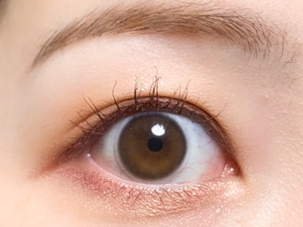 リアルクローズシャドウ/excel/アイシャドウパレットを使ったクチコミ(2枚目)