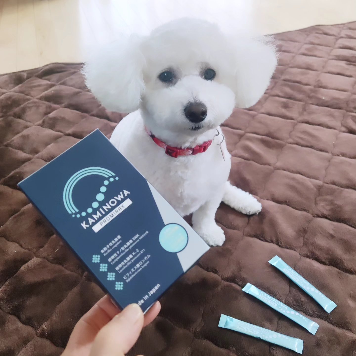 KAMINOWA PROMIRAX/KAMINOWA/美容サプリメントを使ったクチコミ（3枚目）