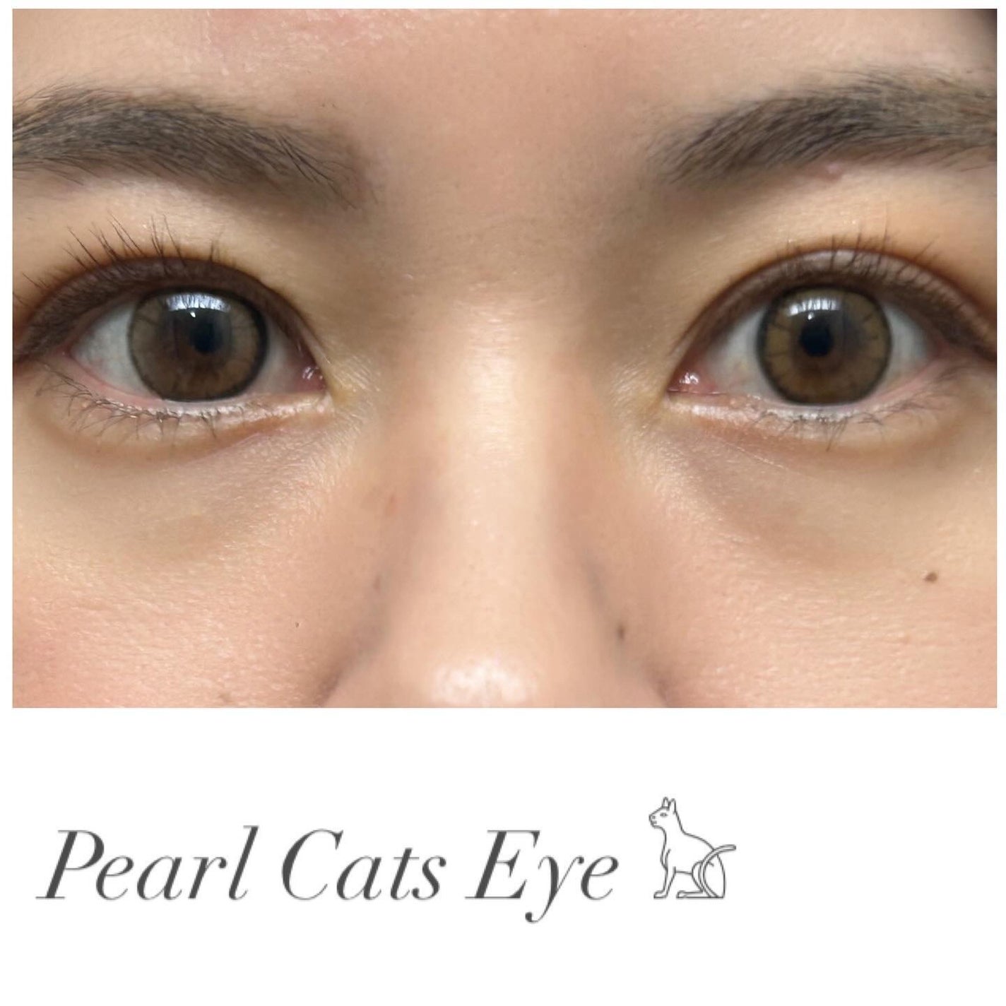 TOPARDS 1day/TOPARDS/ワンデー(1DAY)カラコンを使ったクチコミ(5枚目)