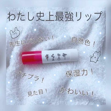 ほんのり色づくリップクリーム/レシピスト/リップケアを使ったクチコミ(1枚目)