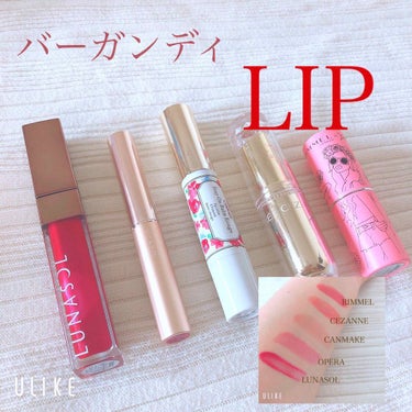 【バーガンディlip💄💋】



最近自分の中でバーガンディリップが流行中なのでお気に入りのバーガンディリップを紹介していきます！！🏃



リップの色味は画像二枚目を参考にしてください！！


🐥商品