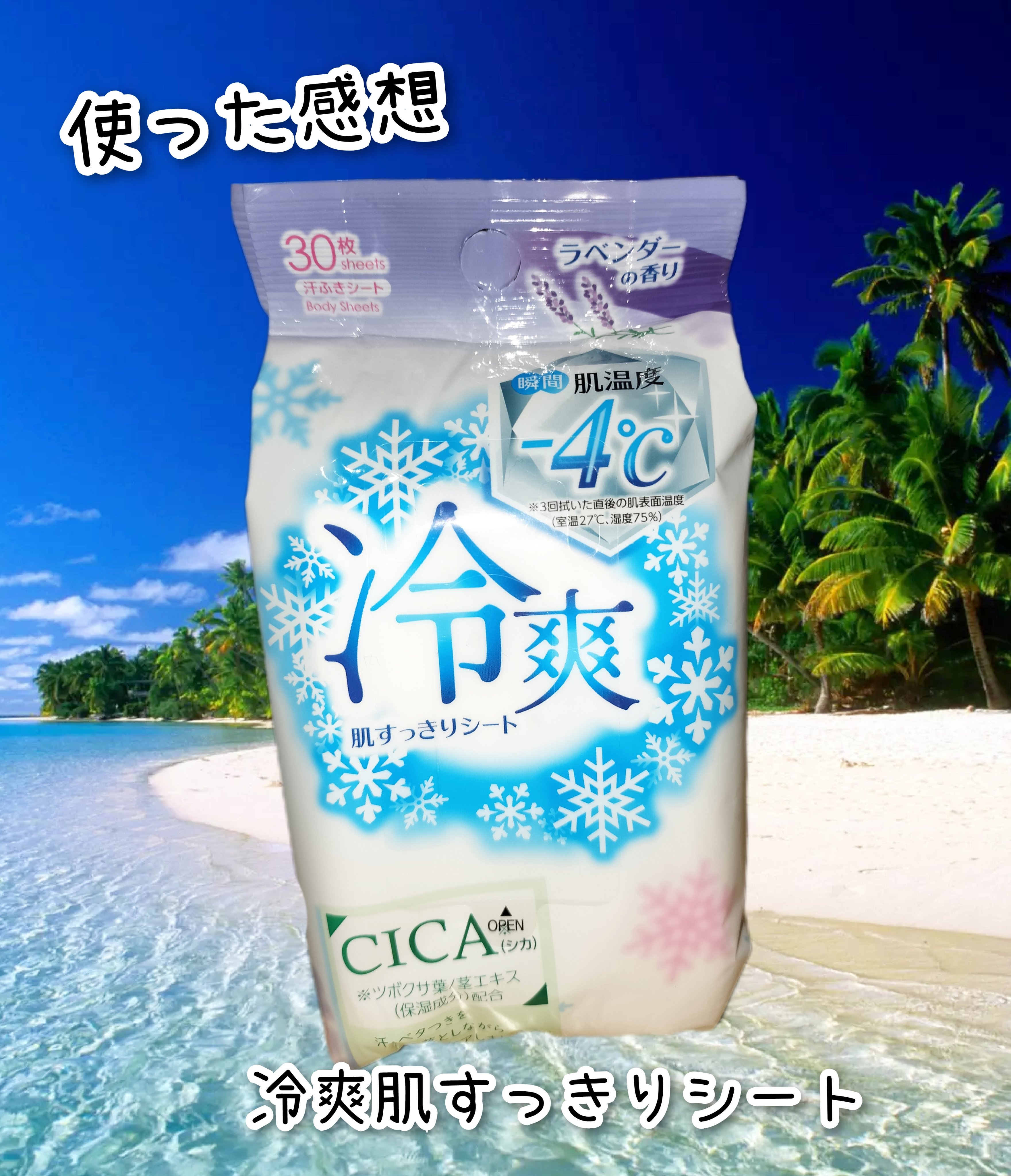 冷爽肌すっきりシート(汗ふきシート)/DAISO/ボディシートを使ったクチコミ（1枚目）