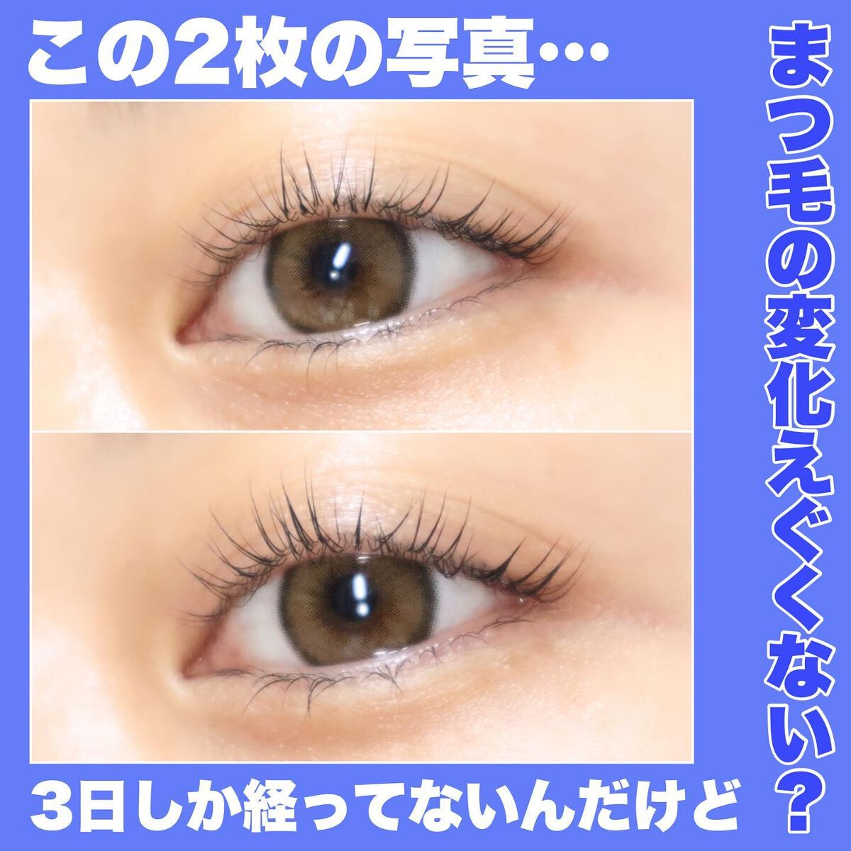 マジックティント/MAJOLICA MAJORCA/マスカラを使ったクチコミ（2枚目）