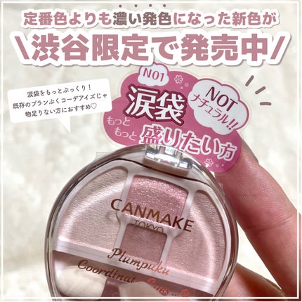 プランぷくコーデアイズ/キャンメイク/パウダーアイシャドウを使ったクチコミ(3枚目)