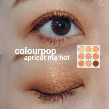 ColourPop  アプリコット ミー ノットのクチコミ「いつも閲覧、イイネありがとうございます💞⁡
⁡.⁡
⁡.⁡
⁡.⁡⁡
⁡ #昨日のメイク⁡
⁡.....」（1枚目）