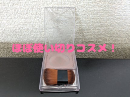 ナチュラルマットシェーディング/CEZANNE/シェーディングを使ったクチコミ(1枚目)