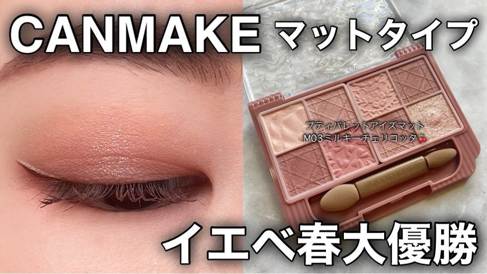 プティパレットアイズ(マットタイプ)/キャンメイク/パウダーアイシャドウを使ったクチコミ(1枚目)
