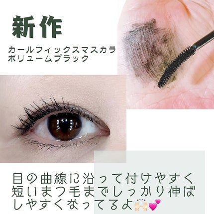 カールフィックスマスカラ/ETUDE/マスカラを使ったクチコミ(3枚目)