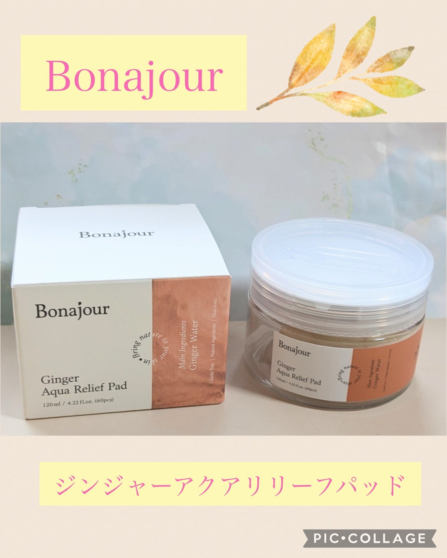 ジンジャーアクアリリーフパッド 60枚/Bonajour/トナーパッドを使ったクチコミ（1枚目）
