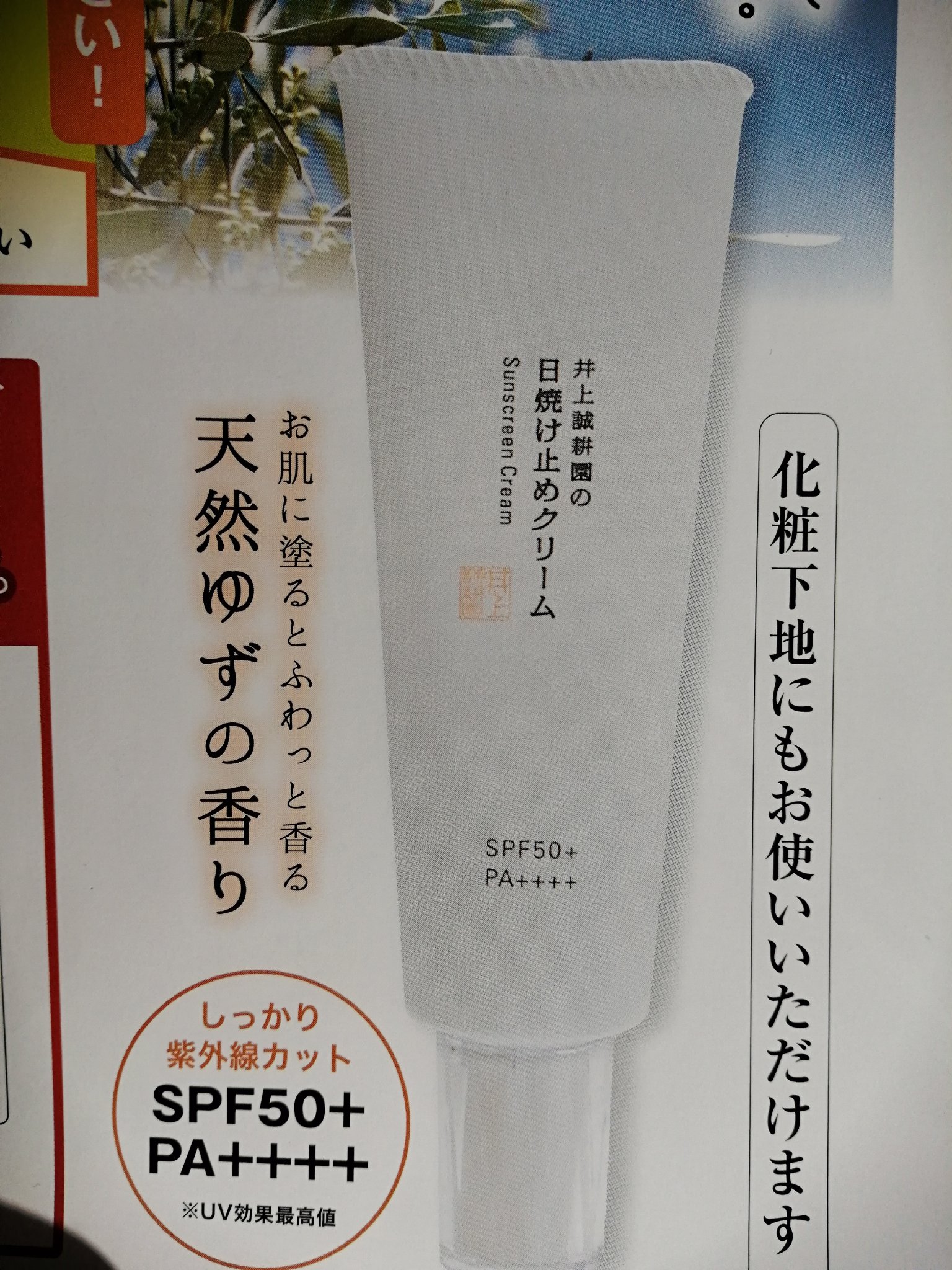 井上誠耕園の日焼け止めクリーム 50g　×3本 井上誠耕園の日焼け止めクリーム | 井上誠耕園
