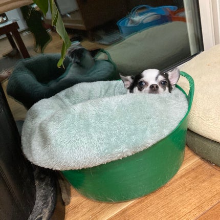 デュオ ザ クレンジングバーム/DUO/クレンジングバームを使ったクチコミ(4枚目)