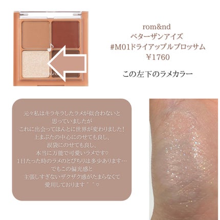 プロ アイ パレット/CLIO/アイシャドウパレットを使ったクチコミ(3枚目)