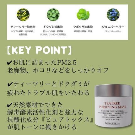 ティーツリーピュリファイングマスク/BONABELLA/洗い流すパック・マスクを使ったクチコミ(2枚目)