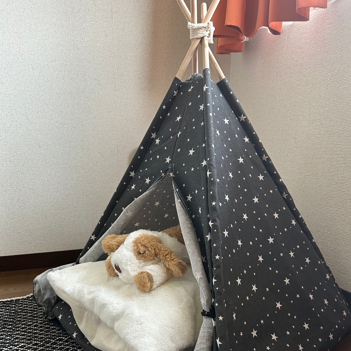 しに子ちゃん on LIPS 「ハローみなさまこんにちは、なにはなくとも毎日腹を壊しているしに..」(3枚目)