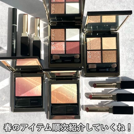 シグニチャー カラー アイズ/SUQQU/アイシャドウパレットを使ったクチコミ(9枚目)