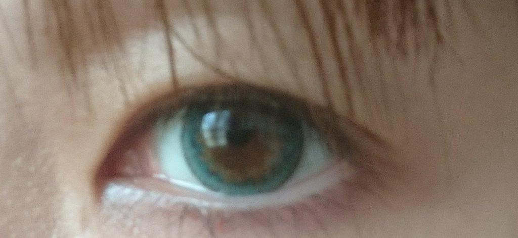 Melody Khaki/THEPIEL/カラーコンタクトレンズを使ったクチコミ（2枚目）