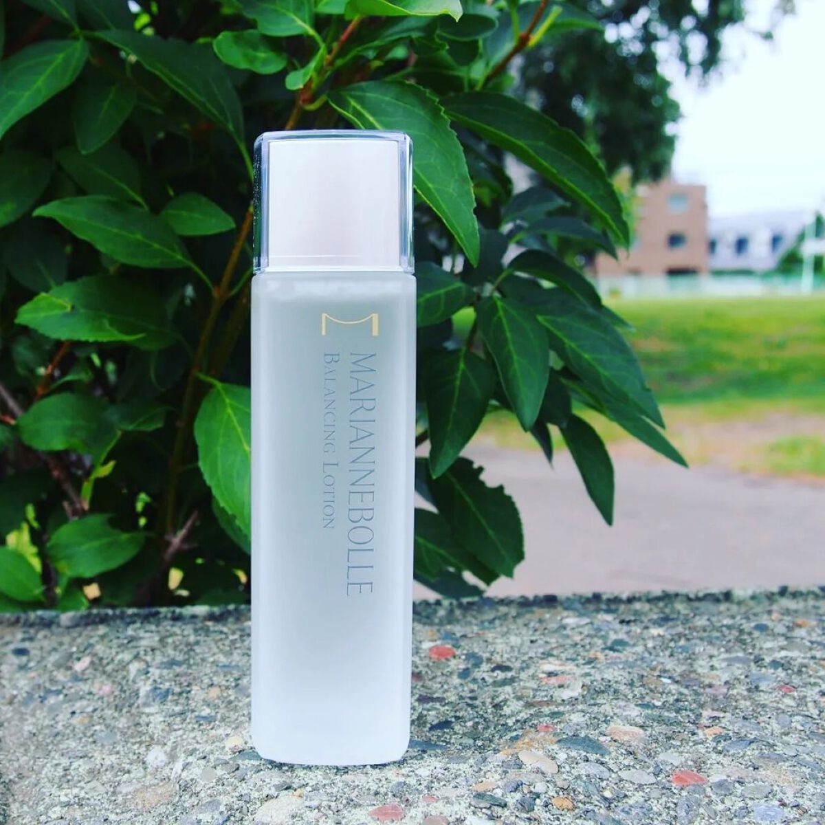 バランシング ローション/マリアンボレ/化粧水を使ったクチコミ（1枚目）