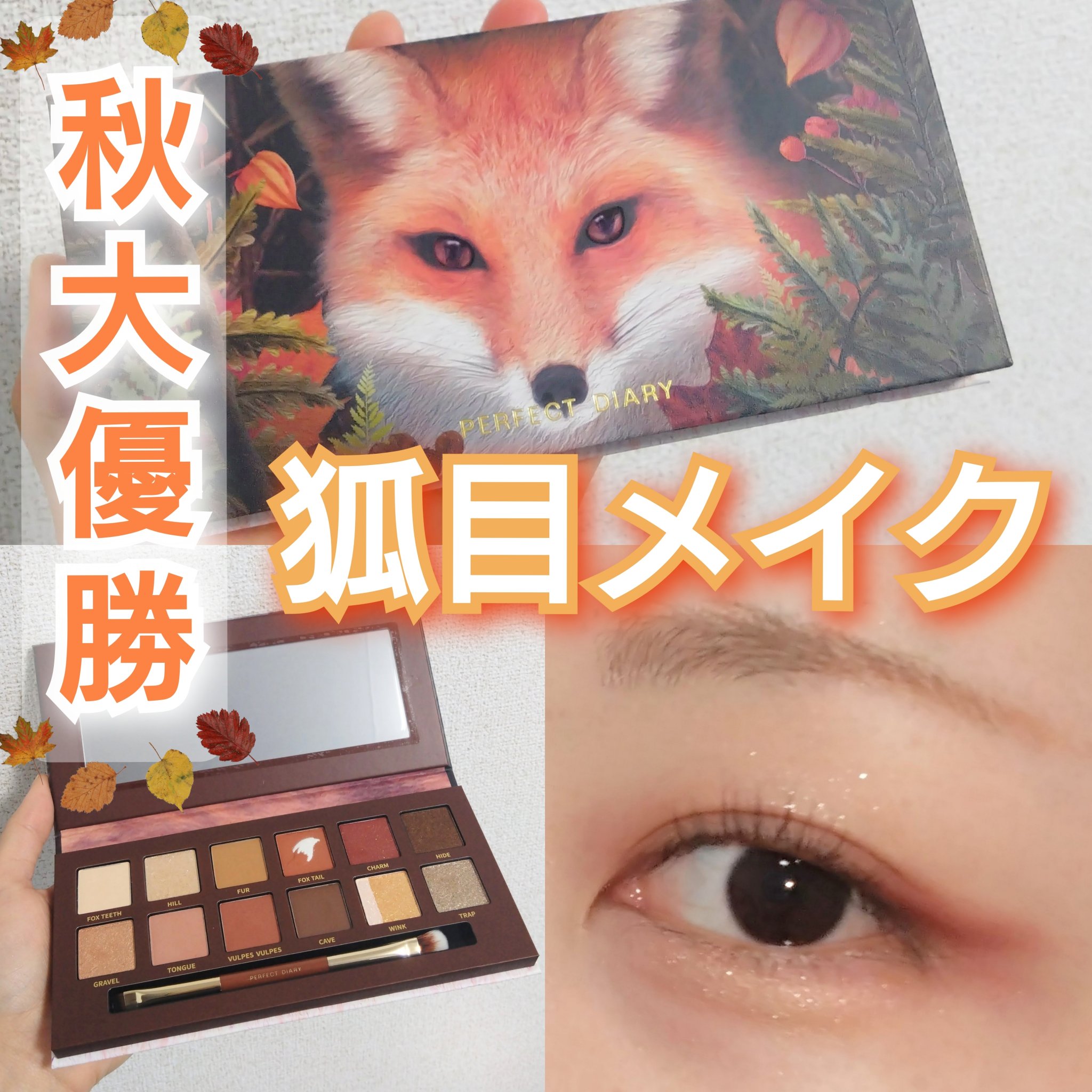 エクスプローラ12色 動物アイシャドウパレット/PERFECT DIARY/アイシャドウパレットを使ったクチコミ（1枚目）