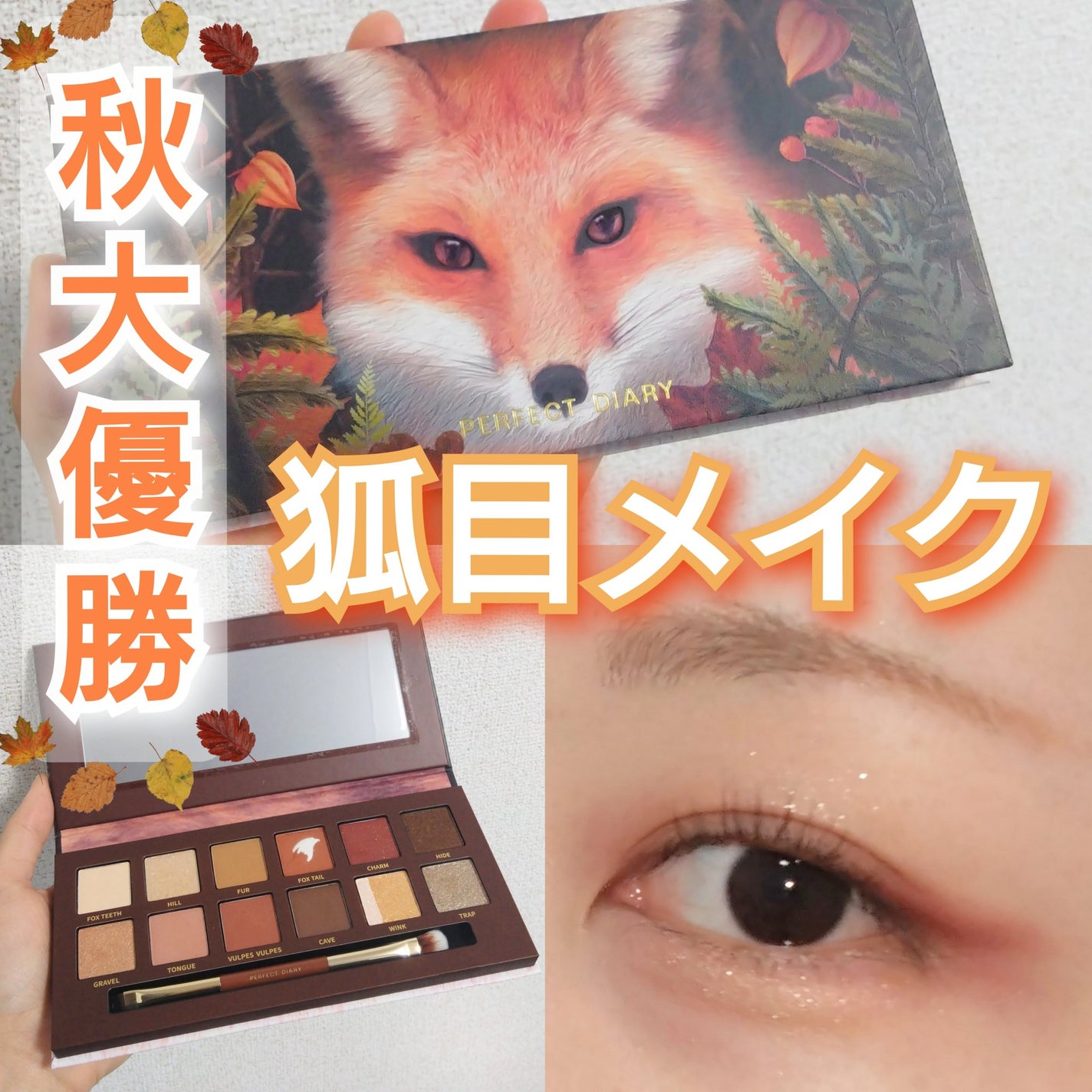 エクスプローラ12色 動物アイシャドウパレット/PERFECT DIARY/アイシャドウパレットを使ったクチコミ(1枚目)