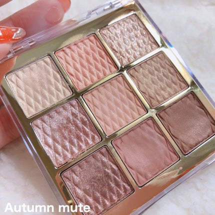 ソフトクレイビームアイシャドウパレット/AMIOK/ジェル・クリームアイシャドウを使ったクチコミ(5枚目)