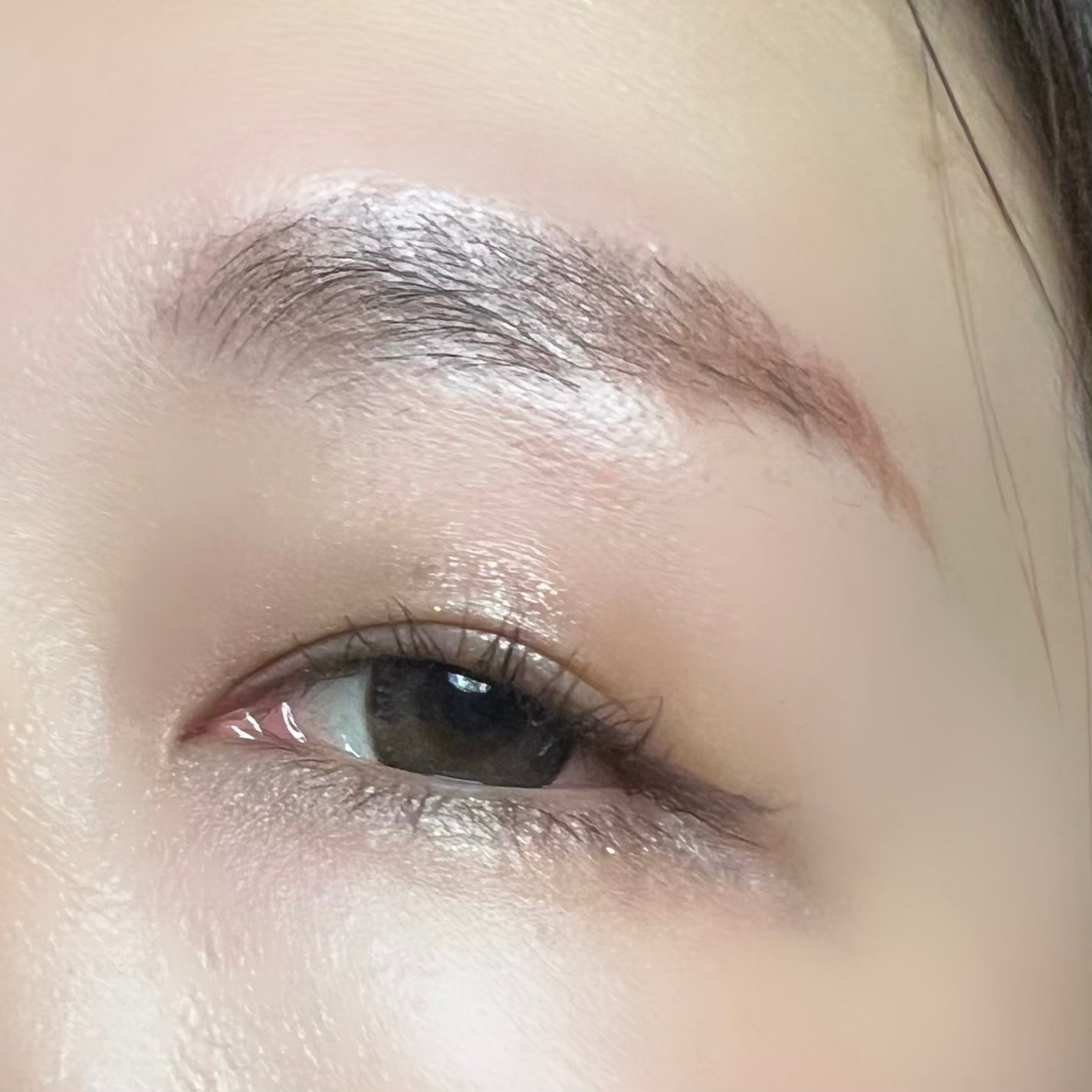 ネンマクフェイク ルージュ/Visée/口紅を使ったクチコミ(2枚目)